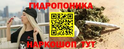 амф Краснознаменск