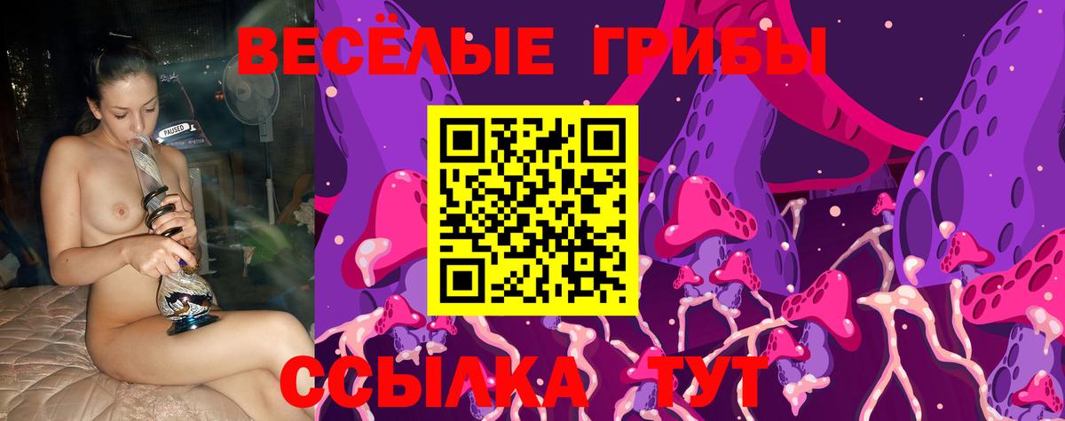 Кандалакша  Псилоцибиновые грибы ЛСД  Вход с VPN 