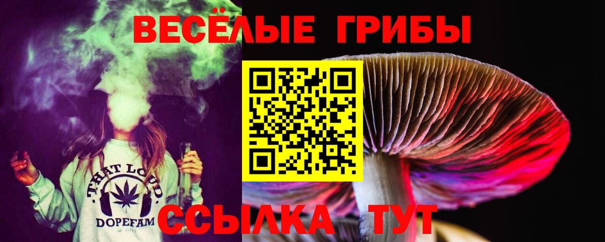 Псилоцибиновые грибы мицелий Кандалакша